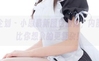 紧急企划 – 小恩最新图包披露，内部定制比你想象的更复杂！